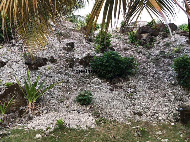 ތާރީޚް: ފުވައްމުލަކު ހަވިއްތަ ބަލަން ދިޔައިންތަ؟