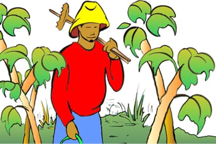 ހާދިސާ: ދަނޑުވެރިޔާ އާއި ދަނޑިއަލުވި ގަސް!