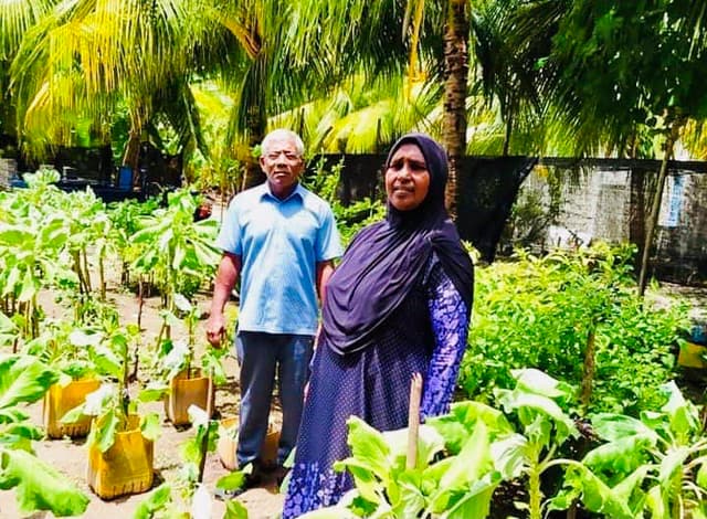 ކާށިދޫގެ ދެމަފިރިން ދަނޑުވެރިކަމުގައި އަވަދިނެތި!