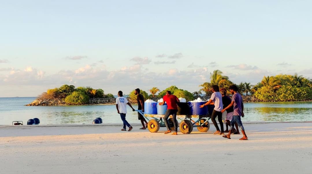 ފޮޓޯ: ރޯދަމަސް، ރަށްފުށުގެ ދިރިއުޅުން