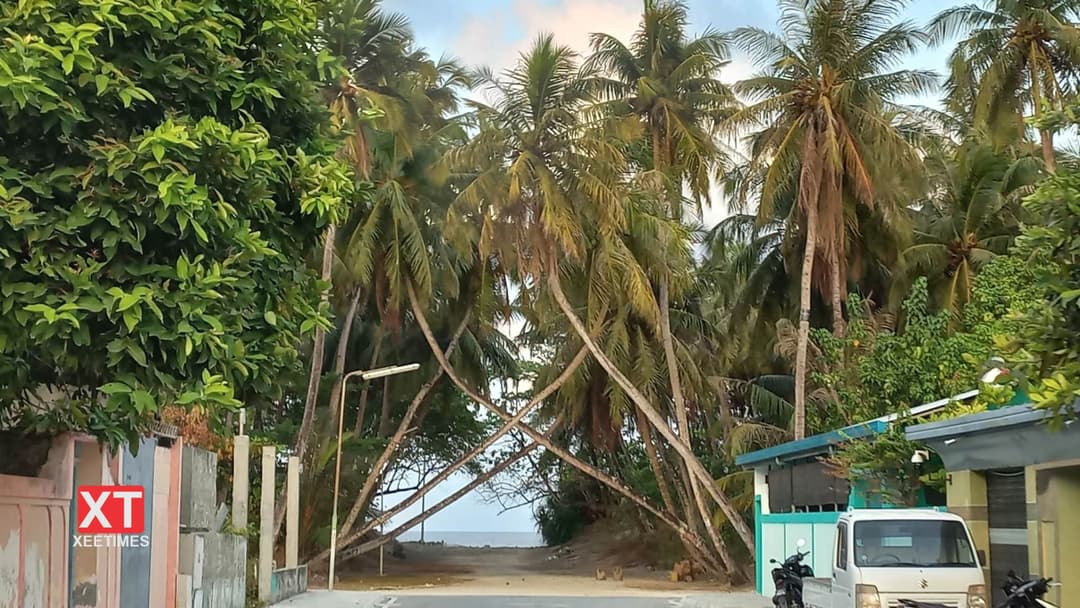 ފޮޓޯއިން ކުޅުދުއްފުށީގެ ހިތްގައިމުކަން