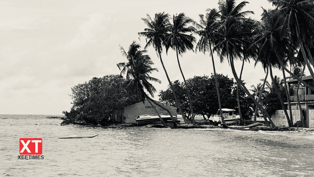 އެވޭލާ ވާހަކަ: ކަރުނައިގެ އަގު