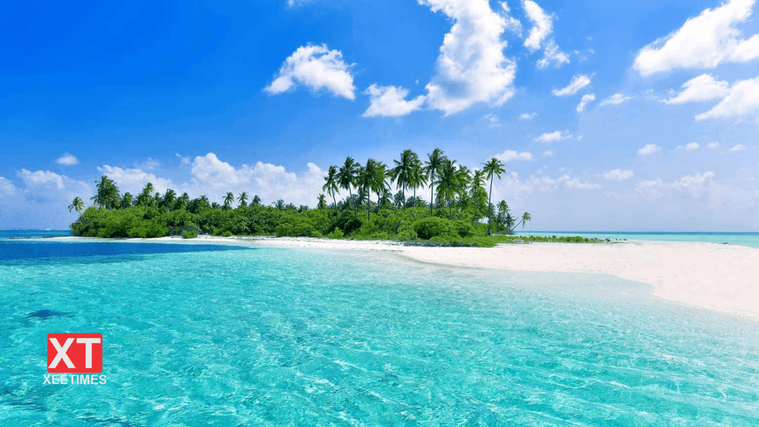 ނޫކުލައިން ފަރުވާ– ދިވެހިންގެ ނަސީބު!