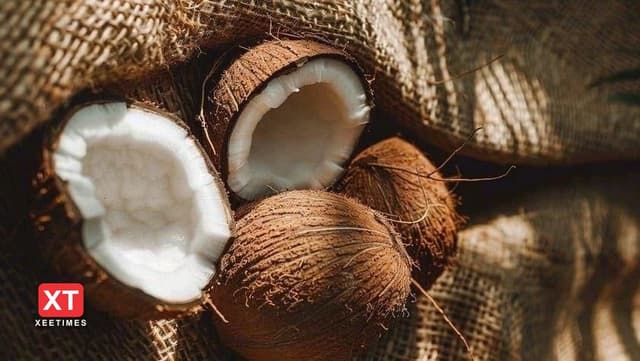 ކާއްޓާއި ކޮލެސްޓްރޯލް: ކިހާވަރެއްގެ ހަޤީޤަތެއްބާ!