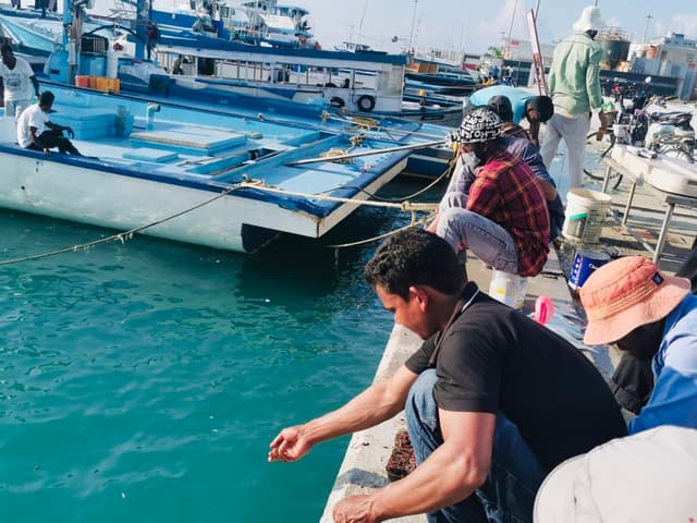 ކޮބާ މި ރޯދަމަހު ކިތައް މަސް ބާނައިފިން؟