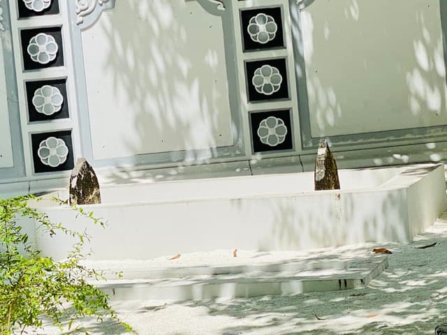 ތާރީޚް: ޢަލީރަސްގެފާނު ޒިޔާރަތް