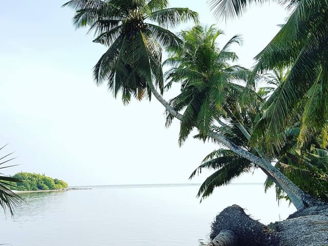 ހާދިސާ: ދިރިއުޅުން ބަދަލުވި ދަތުރު