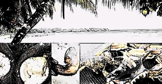 ހާދިސާ: މާރަންދޫ ކަތީބުގެ ޖާފަތް ކާންދިޔަ މީހުންނަށް ދިމާވިގޮތް