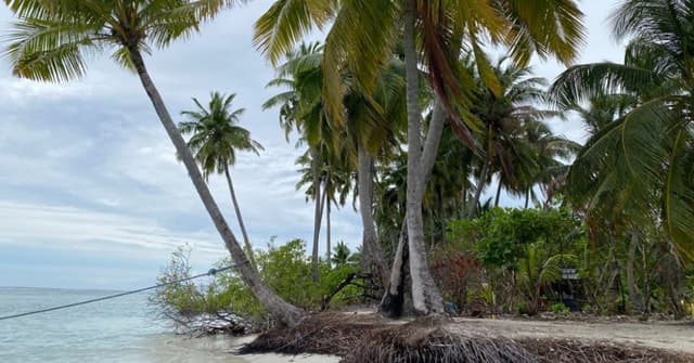 ދަނޑުވެރިކަން ކުރުމަށާއި ޕިކްނިކް ދިއުމަށް ޚާއްސަ އެކެލޮންޑާ!