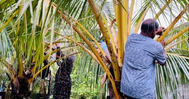 ވީޑިއޯ: ރާވެރިކަން ކުރާ ދެމަފިރިން
