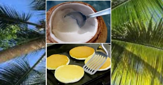 ބޯފޮޅި ދުވަހުގެ ތާރީޚާއި ބޯފޮޅި ފިހާގޮތް
