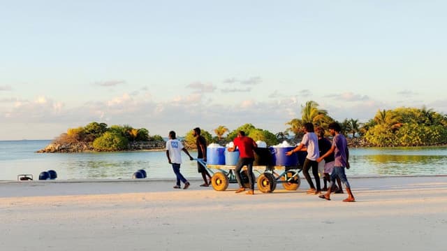 ފޮޓޯ: ރޯދަމަސް، ރަށްފުށުގެ ދިރިއުޅުން