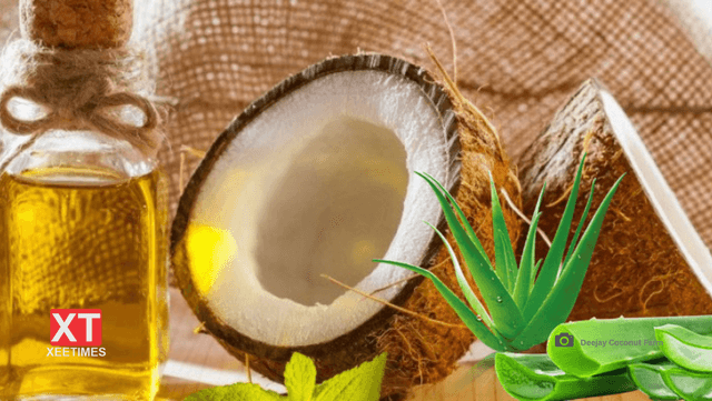 ކިއުކަންބާ ބޭނުންކޮށްގެން ތައްޔާރު ކުރެވިދާނެ ނައިޓް ކްރީމް