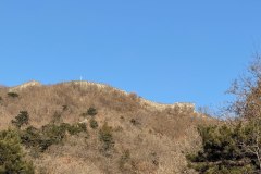 photo_2026-01-09_23-00-01-4