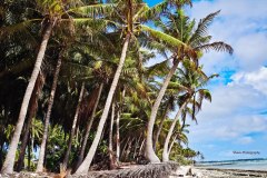 photo_2025-11-23_21-05-01-2