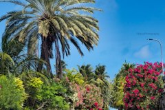 photo_2025-11-23_21-05-03-3