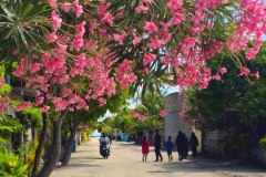 photo_2025-11-23_21-05-03