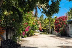 photo_2025-11-23_21-05-04