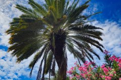 photo_2025-11-23_21-05-54-3