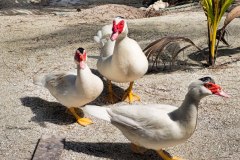 photo_2025-11-23_21-05-55-2