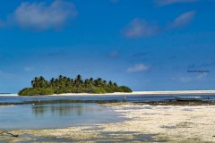 photo_2025-11-23_21-05-55-3