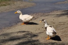 photo_2025-11-23_21-05-55