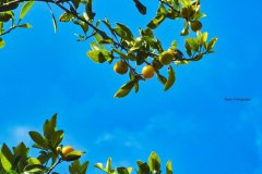 photo_2025-11-23_21-06-16-2