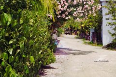 photo_2025-11-23_21-06-16