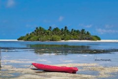 photo_2025-11-23_21-06-17