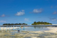 photo_2025-11-23_21-06-18-2