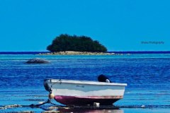 photo_2025-11-23_21-06-18