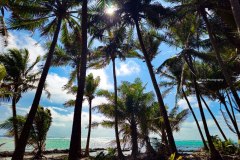 photo_2025-11-23_21-06-59