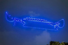 photo_2026-01-01_10-58-07